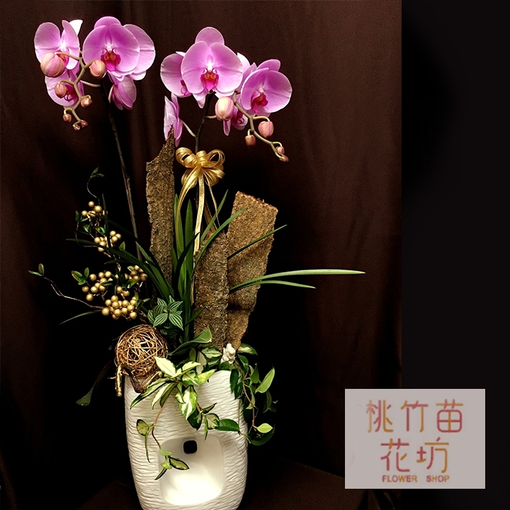 (001) 蘭花盆花