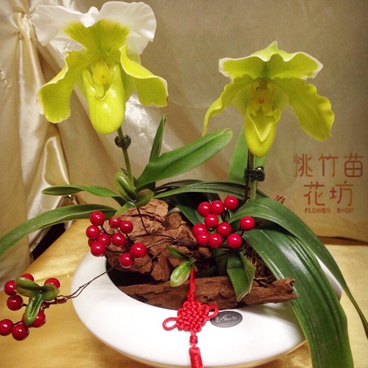 (004) 蘭花盆花