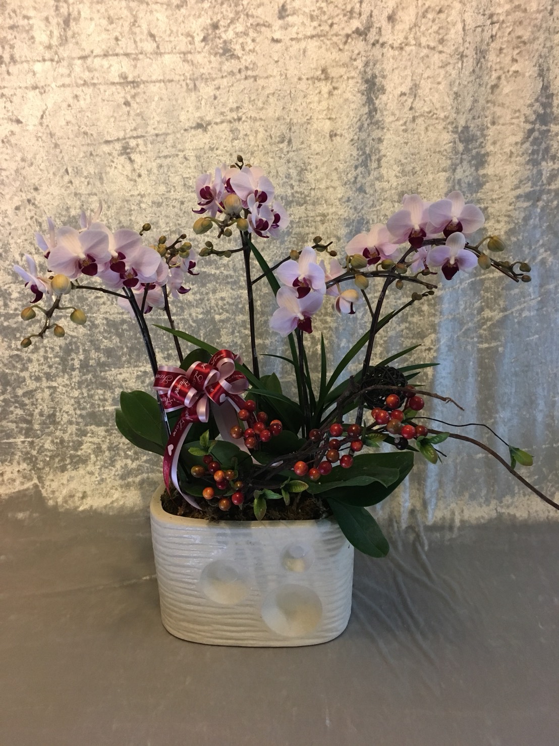 (018)蘭花盆花